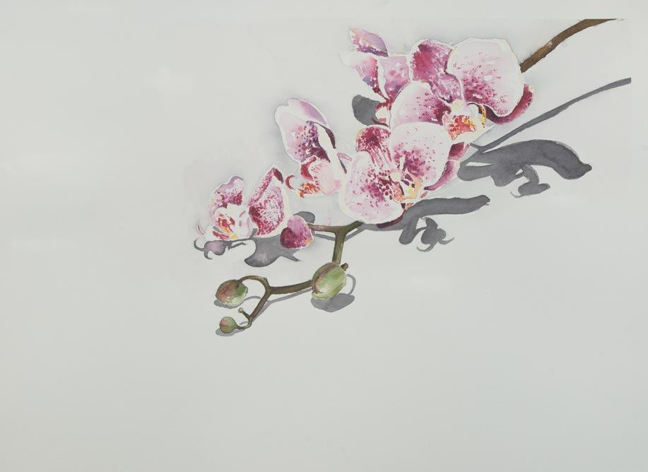 Brush Paintings by Peggy Williams