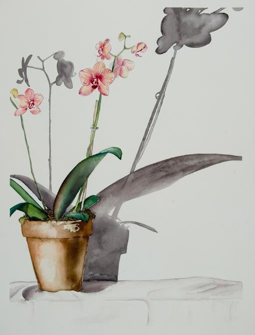 Brush Paintings by Peggy Williams