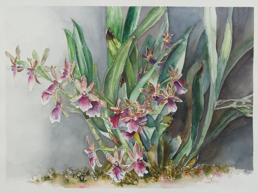 Brush Paintings by Peggy Williams